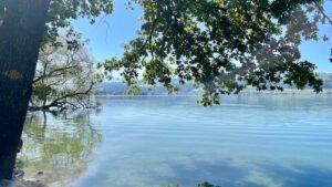Blick auf den Sempachersee. September 2025. Foto von Chris Bossert.